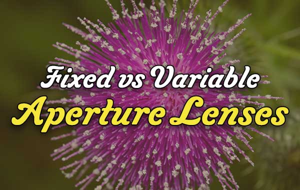 Fixed vs Variable Aperture Lenses