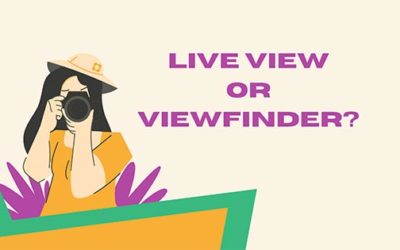 Live View of Viewfinder?