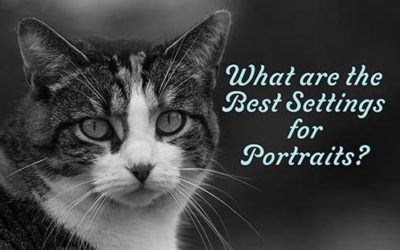 What are the best settings for Portraits?