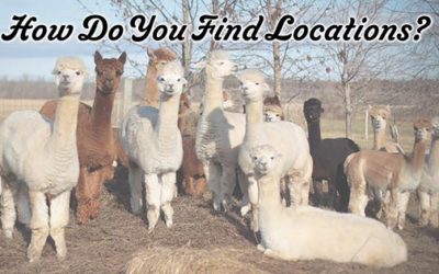 How do you find your locations?