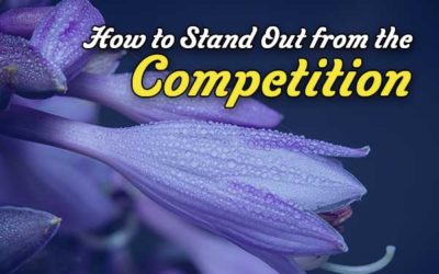 How to stand out from the competition