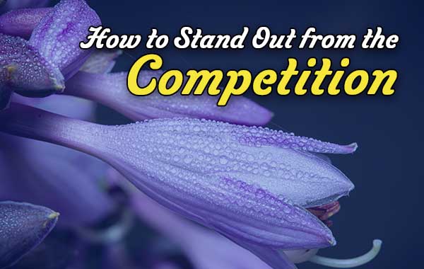 How to stand out from the competition