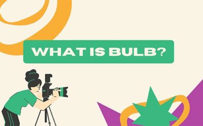 What is Bulb?