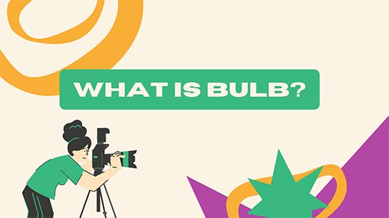 What is Bulb?
