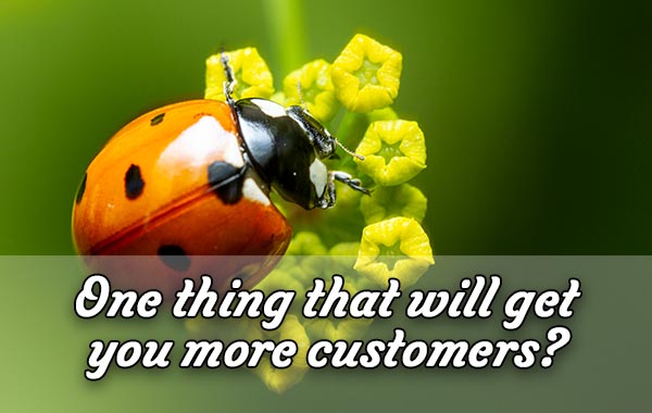 What is the one thing that will get you more customers?