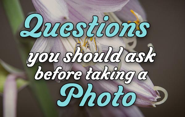 Questions to ask before you take a photo